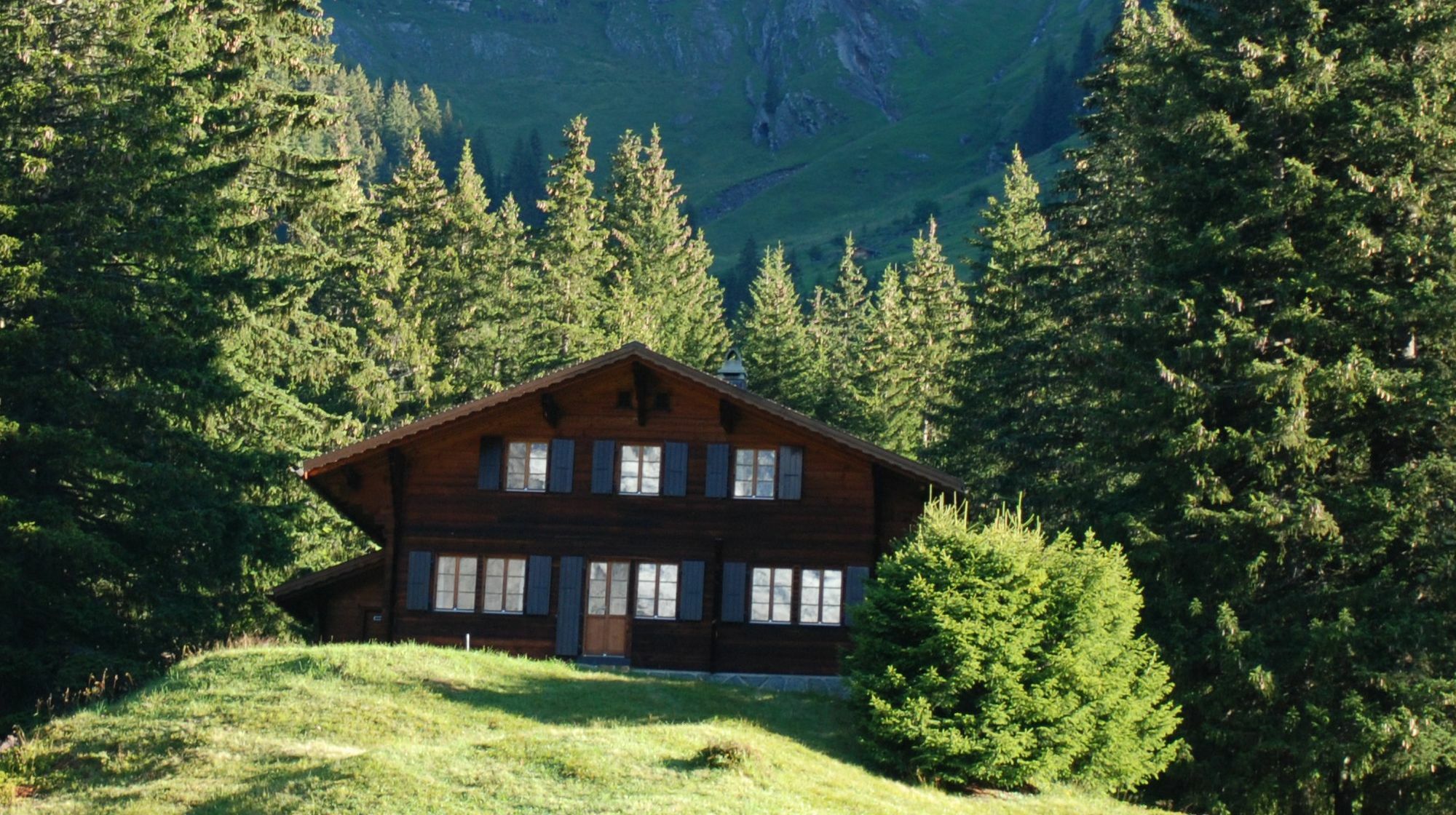 Chalet Lecocq - Griwa Rent Ag Grindelwald Exterior photo