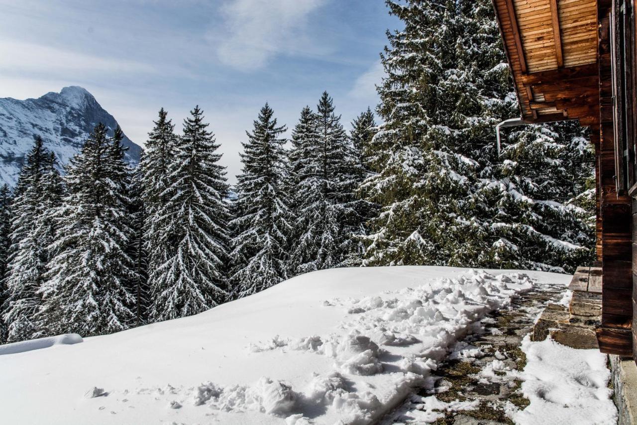 Chalet Lecocq - Griwa Rent Ag Grindelwald Exterior photo