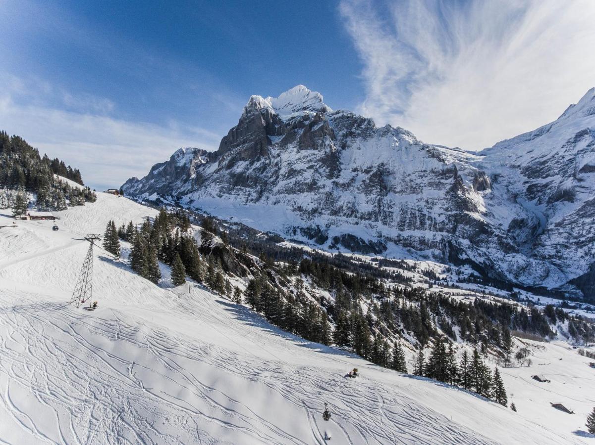 Chalet Lecocq - Griwa Rent Ag Grindelwald Exterior photo