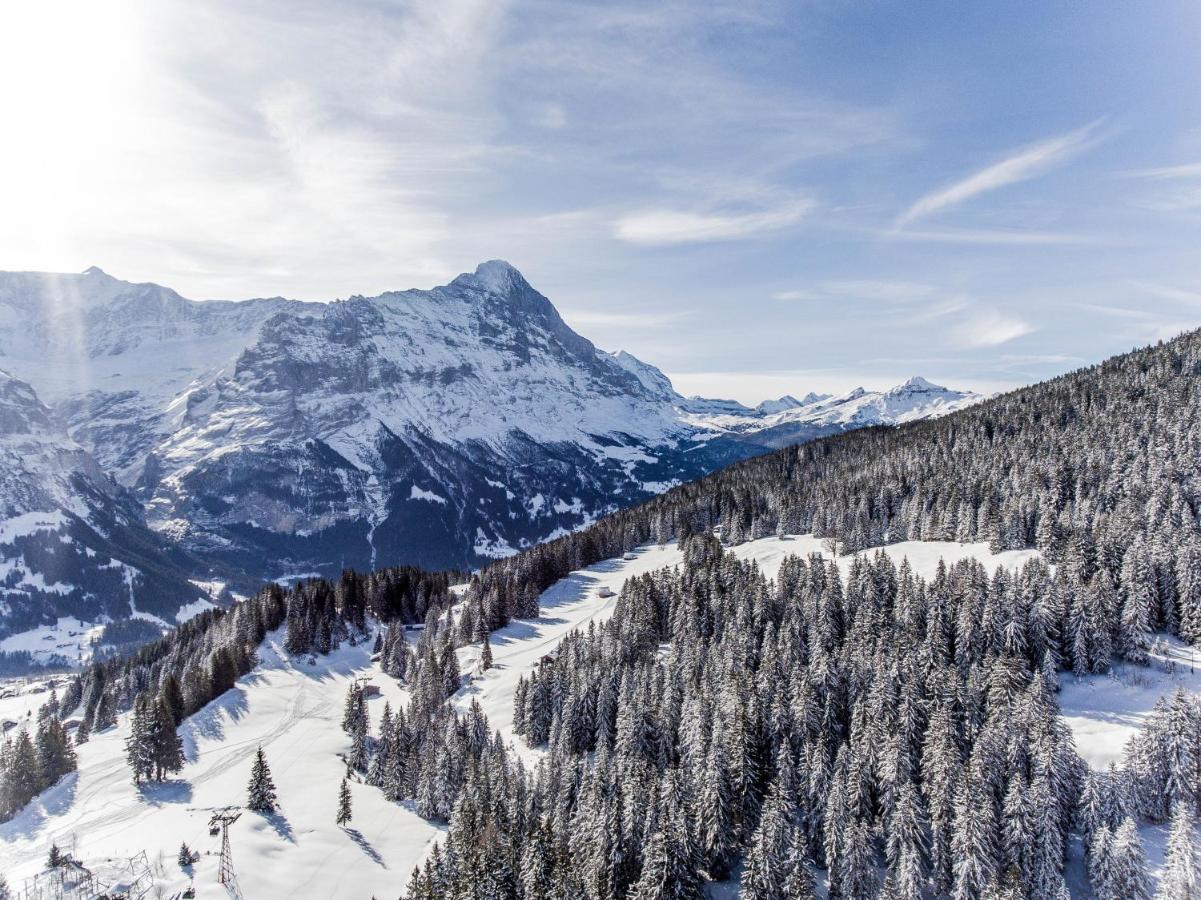 Chalet Lecocq - Griwa Rent Ag Grindelwald Exterior photo