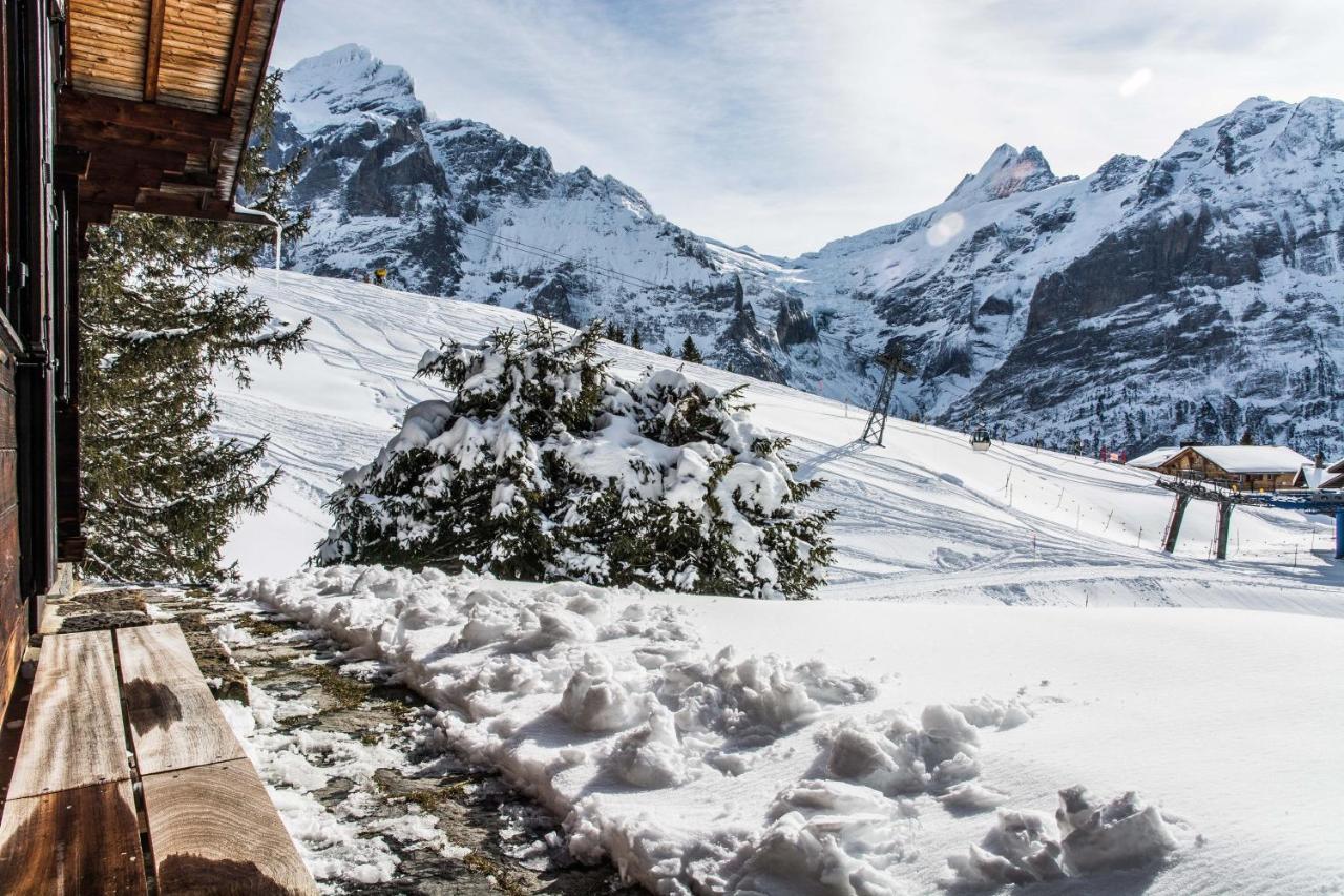 Chalet Lecocq - Griwa Rent Ag Grindelwald Exterior photo