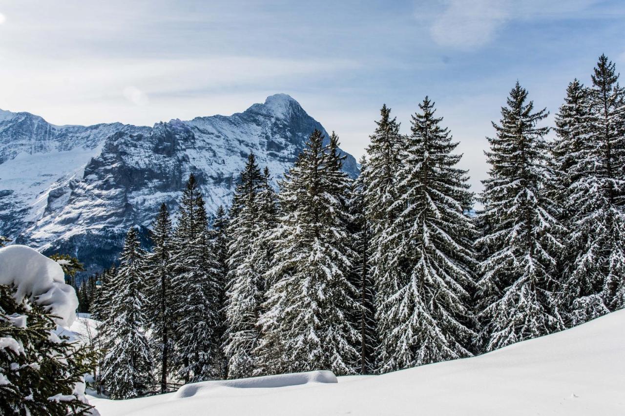 Chalet Lecocq - Griwa Rent Ag Grindelwald Exterior photo